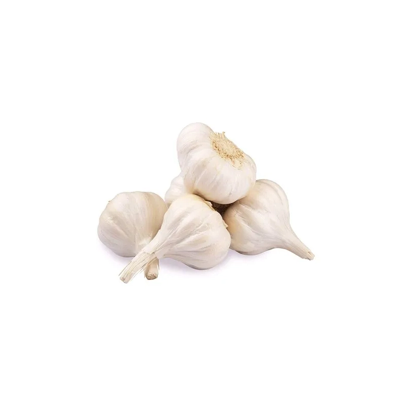 Česen (0,25 Kg)